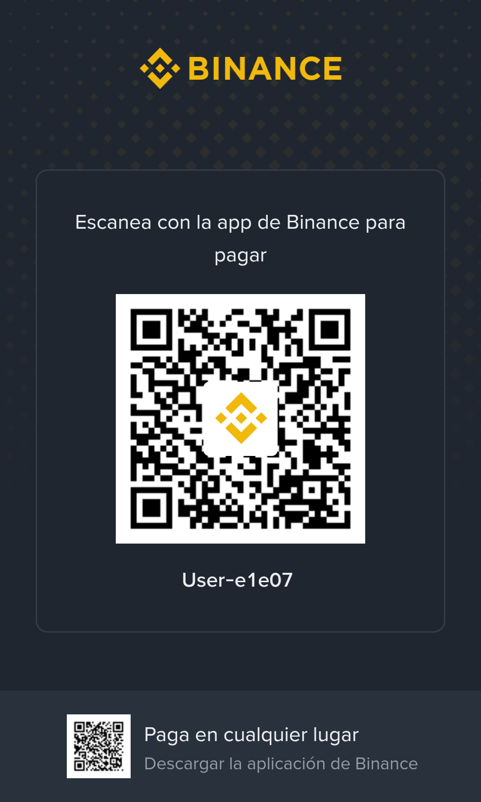 Binance Pay QR for payment after the preview